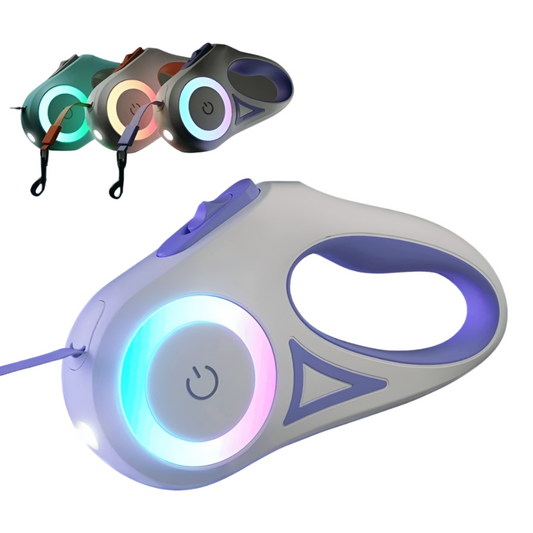 Corde de promenade rétractable et lumineuse pour chien